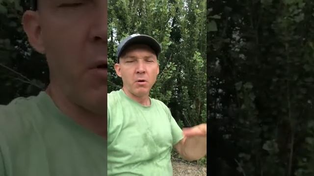 Как я работаю в поле? Смотрите видео! смотреть онлайн