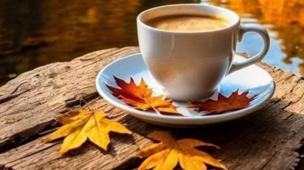 СП Носочный Бум 7 Зимушка Зима с Аннушкой Полозняк