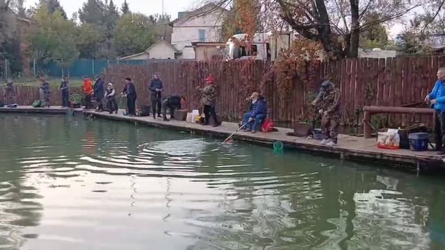 1000000524.mp4 смотреть онлайн