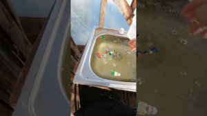 VID_20251001_165727.mp4