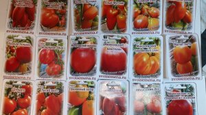 Эти томаты точно не подведут! семена на сезон 2026 от семьи Медведевых.