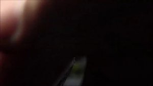 Мушка кебари для тенкара.