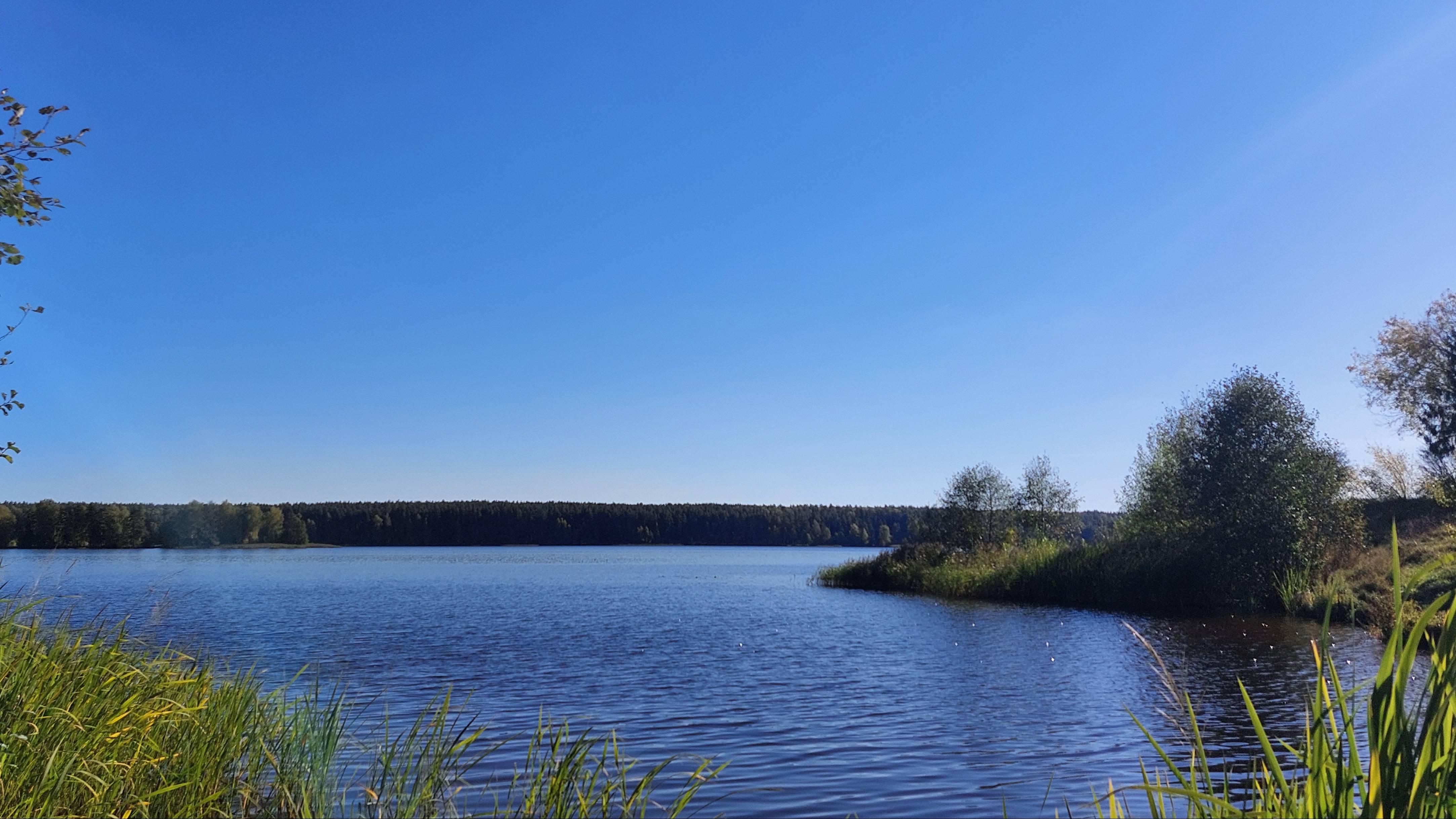 ВИДЕОБЗОР БЕЛЕУТОВО