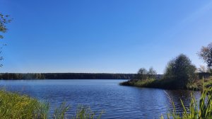 ВИДЕОБЗОР БЕЛЕУТОВО