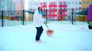 ОДИН ДЕНЬ ЖИВУ КАК СУПЕРГЕРОЙ | КОТИК И ПЁСИК СУПЕРГЕРОИ