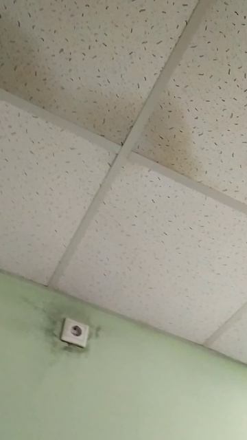 SOS-Королев
