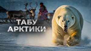 Почему северяне никогда не едят печень белого медведя