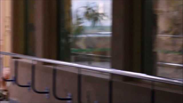 Бату проснулся, а Мишель с малышкой спала 01.10.2025 смотреть онлайн