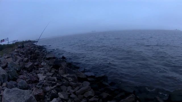 Рыбалка на Финском заливе. Отчёт за 04.10.25. Дамба, южная сторона. Поймал не то,что хотел.