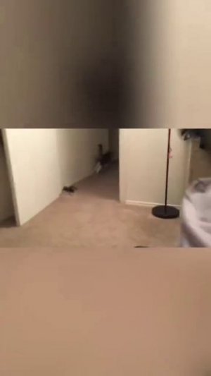 Фольга против огурца