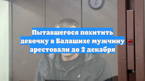 Пытавшегося похитить девочку в Балашихе мужчину арестовали до 2 декабря