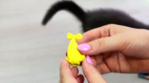 КОТ БАТТЕРС И ТРОЛЛАСТИКИ | МЕГА РАСПАКОВКА | ВСЯ КОЛЛЕКЦИЯ | КОТЕНОК БАТТЕРС БЕСИТСЯ