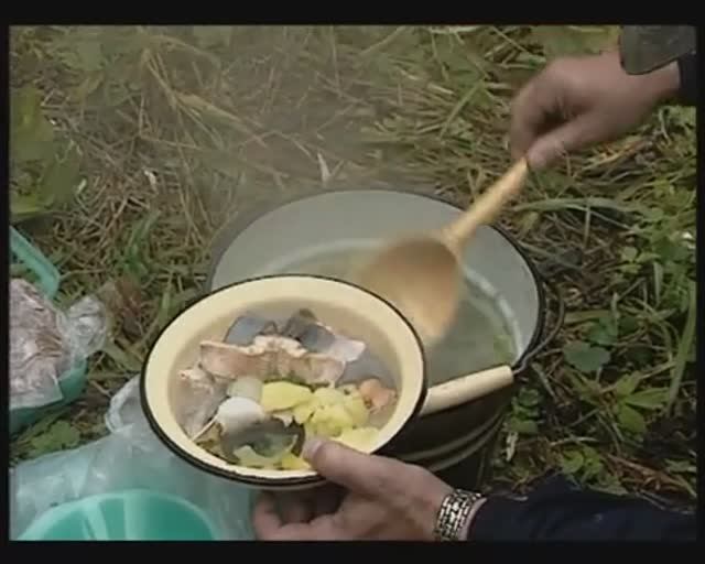 Почему уха приготовленная из Гольца (род Salvelinus) считается наиболее вкусной и полезной ? смотреть онлайн