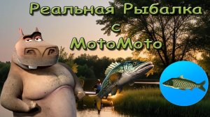 РЕАЛЬНАЯ РЫБАЛКА с MotoMoto | РР1 и РР2
