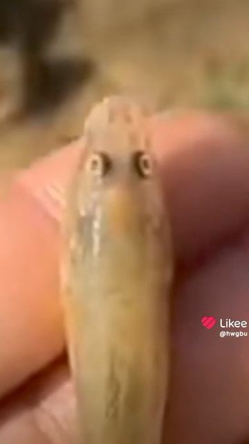 ставь на аву смотреть онлайн