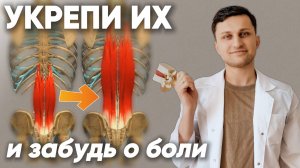 Упражнения для стабилизаторов поясницы. Укрепляющая лечебная физкультура для спины