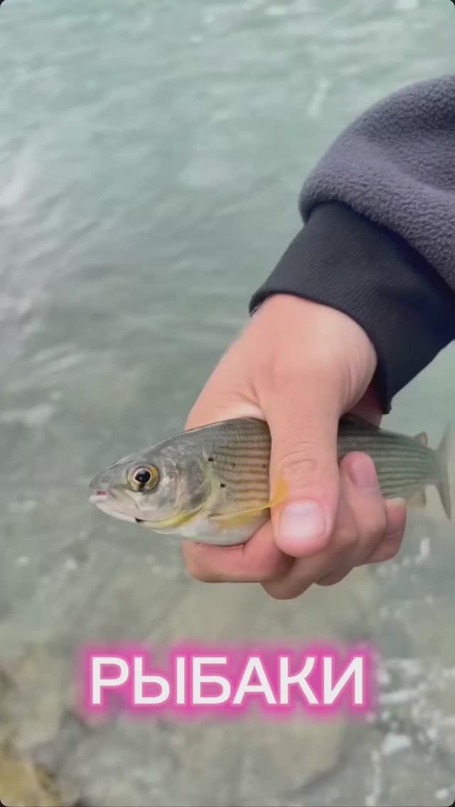 Рыбаки смотреть онлайн