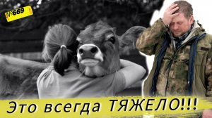 Как мы потеряли корову. Отремонтировали загон для бычков. Один день из жизни Омской деревни.