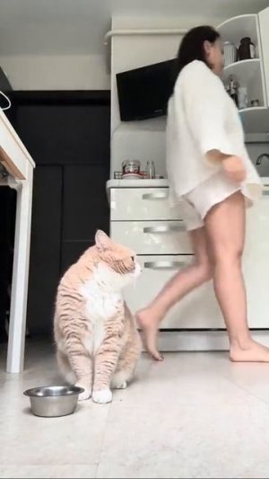 Когда про тебя совсем забыли 😿...👇