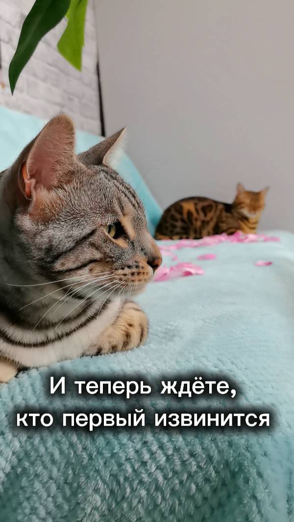 Когда устроили романтический вечер😍