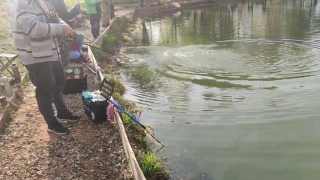 WhatsApp Video 2025-10-04 at 09.50.02 смотреть онлайн