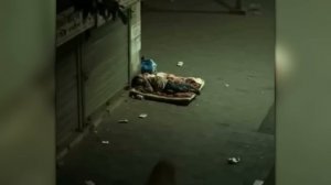 Вы Должны Это Увидеть! Случаи с Животными Которые Реально Взорвали Интернет!