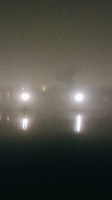 Воркута. 04.10.25. Туман в парке. смотреть онлайн