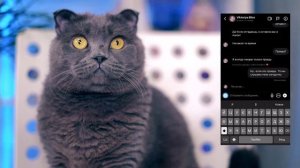 ПЕРЕПИСКА С ФЕЙКОМ | ОН СЛЕДИТ ЗА КОТИКОМ И ПЕСИКОМ ! ПИТОМЦЫ ПРОТИВ!