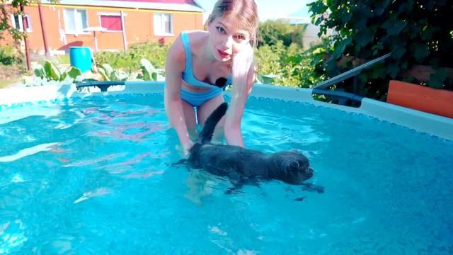 КОШЕЧКА БАТТЕРС ВПЕРВЫЕ ПЛАВАЕТ В БАССЕЙНЕ | Кот Баттерс смотреть онлайн