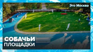 "Это Москва. Инфраструктура": собачьи площадки - Москва 24
