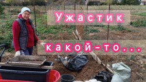 ДОКОПАЛАСЬ! ТЕПЕРЬ У МЕНЯ ЕСТЬ ВОДА И ДВА ВЕДРА ЛИЧИНОК.