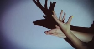 ... Как работает Театр теней...