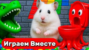ВИДЕО ПРО УМНОГО ХОМЯКА ДЛЯ ДЕТЕЙ 🐹 ХОМЯК ВЫБИРАЕТСЯ ИЗ СЛОЖНЫХ ЛАБИРИНТОВ С ЛОВУШКАМИ