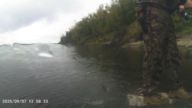 MOV00541 смотреть онлайн