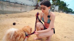 СОБАЧКА ЭЛИС ВПЕРВЫЕ ПЛАВАЕТ В МОРЕ | Кот Баттерс