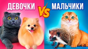МАЛЬЧИКИ vs ДЕВОЧКИ : ПИТОМЦЫ ПРОТИВ ДРУГ ДРУГА | Кот Баттерс vs Кот Персик