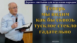 Дерево с листьями для исцеления народов. Ответ на вопрос. Н. С. Антонюк. МСЦ ЕХБ