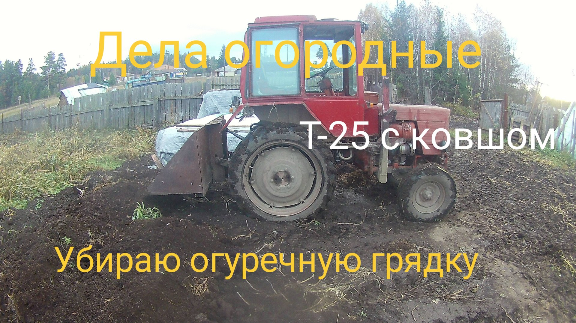 Т-25 с ковшом. Дела огородные. Убираю огуречную грядку . смотреть онлайн