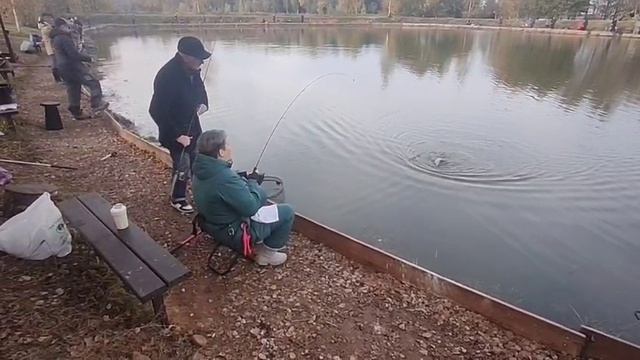 WhatsApp Video 2025-10-04 at 09.55.36 смотреть онлайн