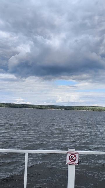 08.2025 Березовая роща водохранилище