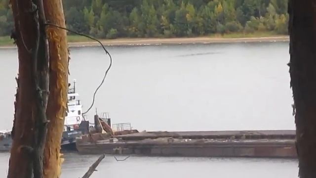 Голос твой родной - Автор музыка и поёт Андрей Иванцов смотреть онлайн
