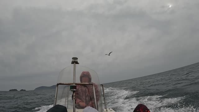 Дикие люди. Владивосток 2025. Трейлер смотреть онлайн