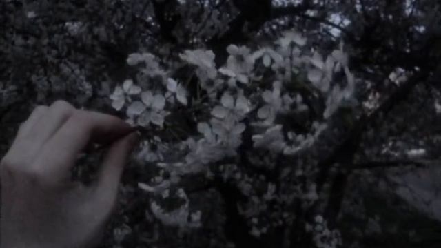 Atmosphere