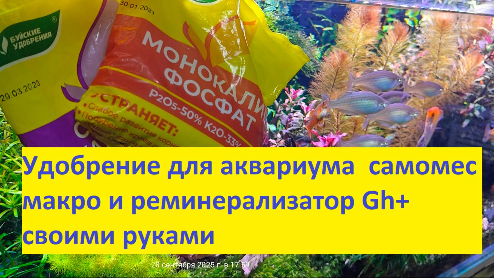 Удобрение для аквариума самомес макро и реминерализатор Gh+ своими руками смотреть онлайн