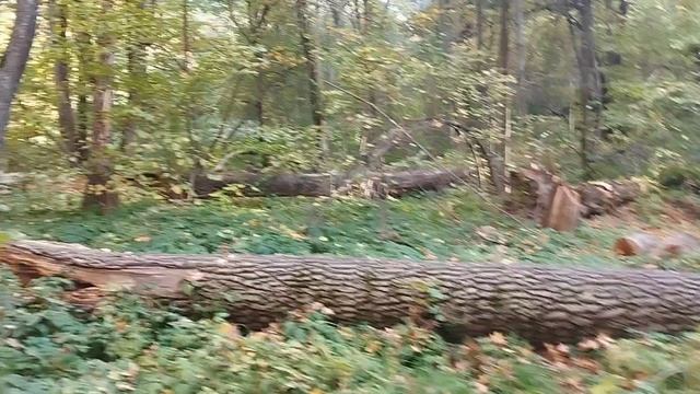 Солдатское озеро город Пенза краткий обзор