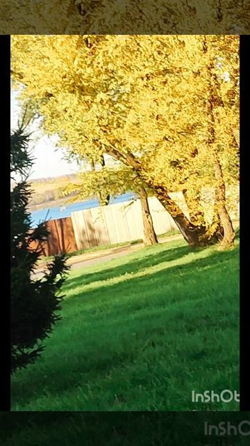 Шелест осенней листы. Золотая осень. смотреть онлайн