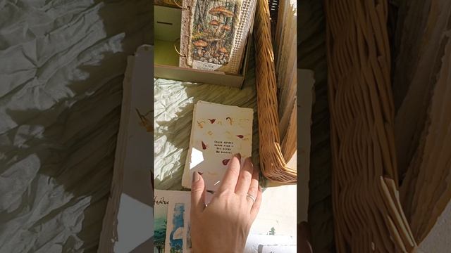 Гастрофест в Нальчике 2025 год смотреть онлайн