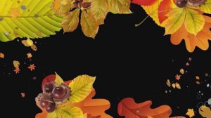 🍁 Футаж Осенние переходы — Золотая осень в вашем видео!