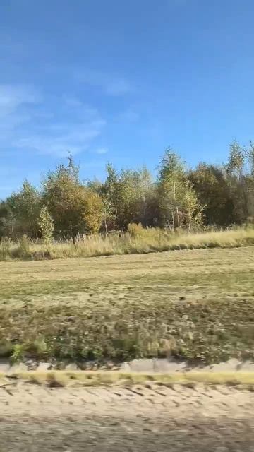Осеннее поле смотреть онлайн