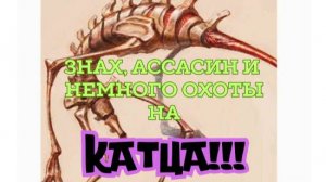 Знах, Ассасин и немного охоты на Катца.. 55:15